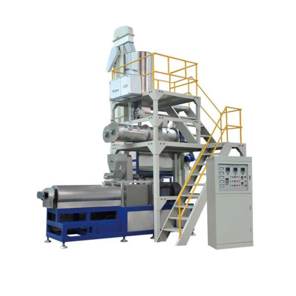 Suitable for Snacks Food Making 90kw Multi-Functional Snack Food Extruder