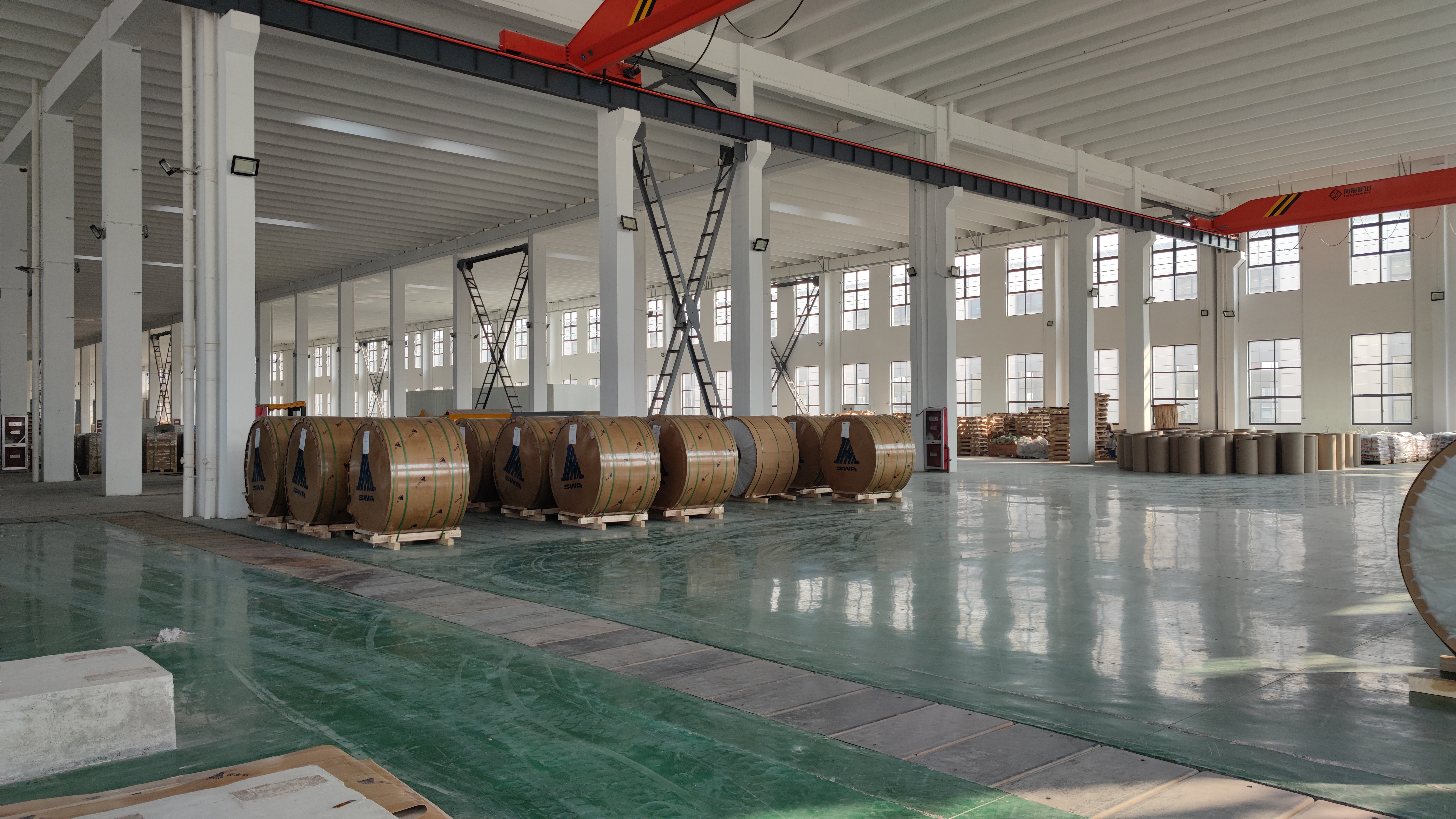 Eco Friendly Chemistry Free CTCP Processless Plate For Offset Printing