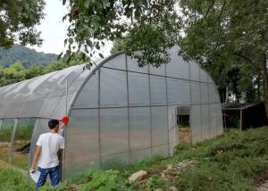 China Tomato Strawberry Double Layer Poly Greenhouse Multi Span Large Size Arch Shape on sale