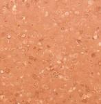 Eco - Friendly Industrial PVC Flooring Brown Color Anti Corrosion Moisture Proof