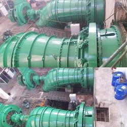 House And Power Plant 50kw~20mw Mini Tubular Turbine Generator Small Hydro