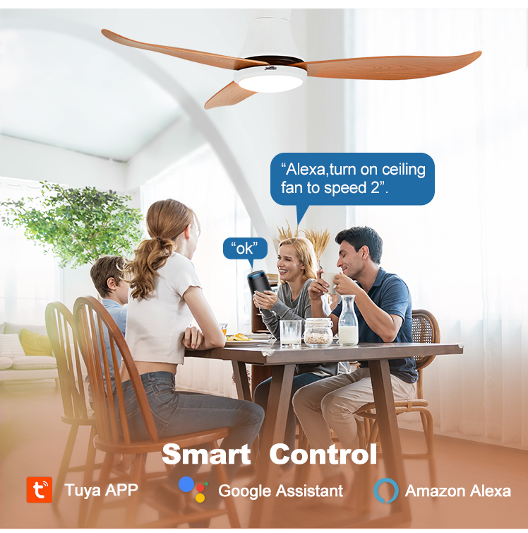 Smart Home High Speed ABS Ceiling Fan with 6 Speed Choice Remote Control Color LED
