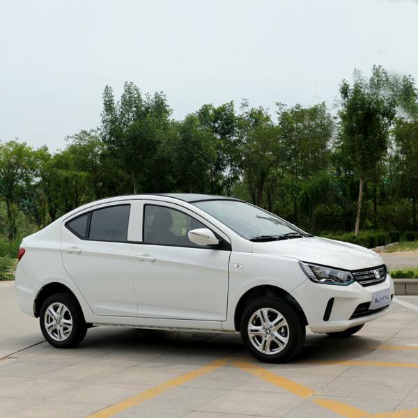 Raysince good quality mini electric vehicle wholesales cheap price electric mini