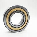 NUP205 Roller Bearing NU205 NF205M Cylindrical Roller Bearings NJ205 NUP205