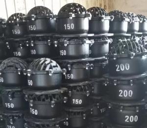 Quality DN150 DN200 cast iron flanged foot valve wholesale