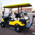 AEV Termite 4 Seater Golf Cart Buggies 470kg 35mph