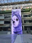 10000hours Life Span Full Color Transparent LED Display For Indoor Advertising