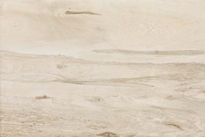 Quality Digital Wood Effect Porcelain Tiles / Wood Effect Porcelain Flooring 900x150mm wholesale