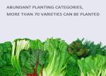 24V 10W Light PVC Kitchen Hydroponic Growing Systems