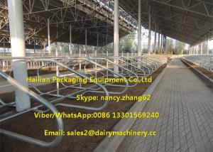 Quality Hot Dip Galvanizing Tie Free Stall Dairy Barns Cow Farm Equipment Parts wholesale