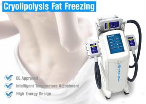 Quality Multifunction Beauty Machine Freeze Fat Slimming Weight Loss Machine With 3 Treatments wholesale