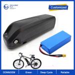 LiFePO4 Lithium Battery 36V 48V 60V 72V 30AH 60AH 80AH 120AH OEM Lithium Battery