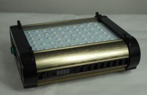 Quality Cidly 100 watt led grow light 3w led full spectrum changeable wholesale