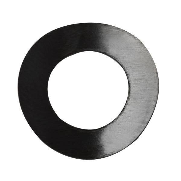 DIN137 GB860 Curved Spring Washers Stainless Steel Alloy Steel Plain /