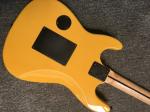 Eddie Van Halen TRIBUTE Electric Guitar
