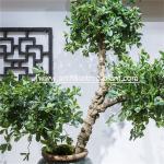 Green Money Plant Artificial Fortune Tree Water Jar Home Decoration ISO