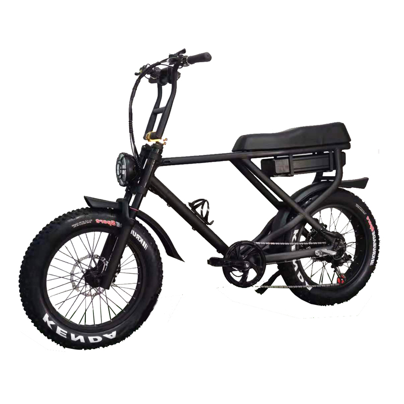 2022 Electric Fat Tyre Bike Mountain Adult Electric Bicycle 20 Inch Wheel Size 7 Speed