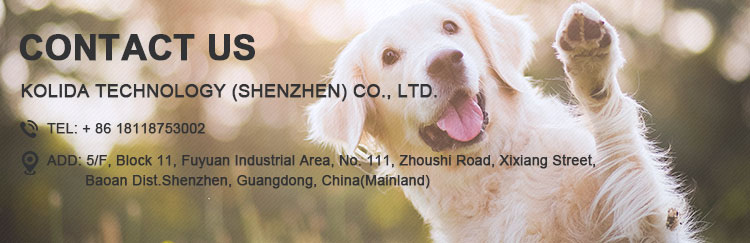 C304 Hot Sale Flashing Light Up Led Best  illuminated Dog Collar Leash Manufacturers