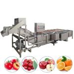 SS304 Multifunctional Potato Ginger Washing And Peeling Machine Automatic