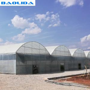 Quality Steel Structure Polythene Grow Tunnel For Tomato And Cucumber wholesale