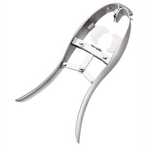 Quality SUS304 Stainless Steel Egg Opener Fish Shaped Eggshell Cracker Cutter wholesale