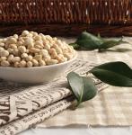Almonds Macadamia Raw Sprouted Nuts NON GMO Full Nutrition 100% Green Products