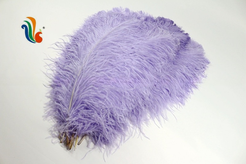 Various Color Millinery Feather Ostrich Plume Feathers 50-55cm For Hat Decoration