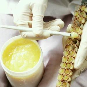 Quality Natural 1.6% 10-HDA Organic Fresh Royal Jelly Pure Royal Jelly for health care wholesale
