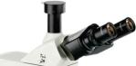 30° Tilted Three Eye Cylinder Upright Microscope B60