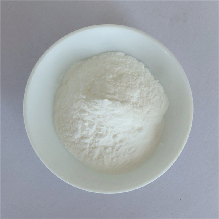 astragalus root extract 98% cycloastragenol capsules