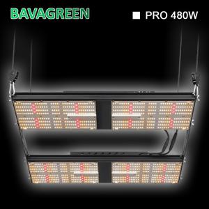 Quality 4x4 Bavagreen LM301H 480w Samsung LED Grow Light 1248umol/s wholesale