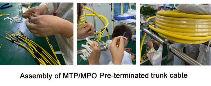 40G 100G SFP Female To Female MPO MTP Cable 24 Core OM4 MTP Cable