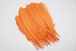 Party Decoration Colored Turkey Feathers Event Supplies 10-12 inch