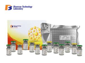 Quality Canine Substance P ELISA Assay Kit Immunoassay Test Kits For Research wholesale