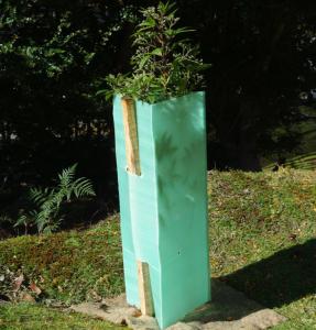 Quality Anti Uv Corrugated Plastic Tree Guard 2mm Thickness wholesale