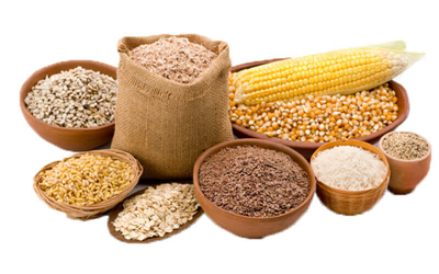 Food Defatted Soybean Grinder Machine Powder Mill Stainless Steel SUS316