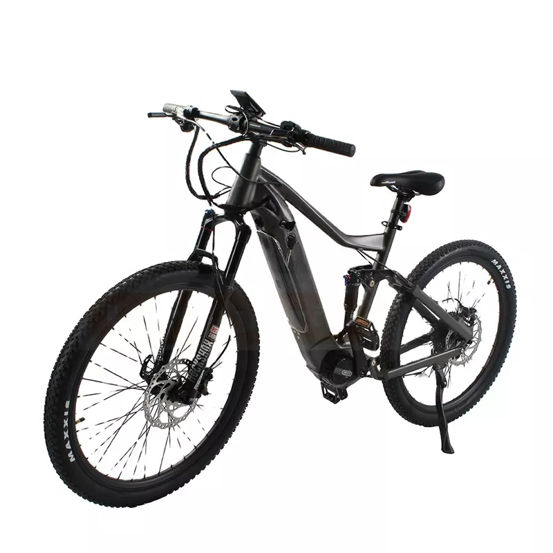 48V 20AH Lithium-ion Battery Mid Motor Bike for Adults Dirt Mountain Electric Bike