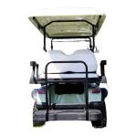 Custom Street Legal 4 Seater Street Legal Golf Buggy Ce Certified European Style