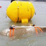 Large Capacity Dock Airbags , Inflatable Construction Marine Lift Bags