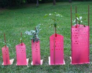 Quality Waterproof Corrugated Plastic Tree Guards Wrap 2mm wholesale