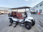 6 Passenger Off-road Buggy Automatic Lightweight Electric Golf Cart Customized