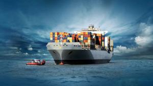 Quality Sea Shipping DDP Cargo Ship From China To Australia wholesale