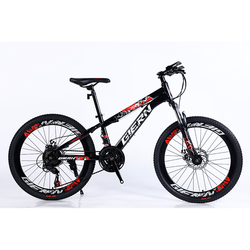 Affordable Mountain Bicycle with Sus Fokr Cp Crown and Tongli Michanical Disc Brake