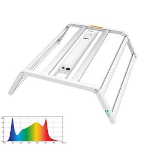 Quality 780W Full Spectrum LED Grow Lights 120 Degree Indoor Hydroponic Lights wholesale