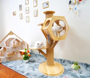 Quality Luxury Hexagon Wooden Pet Bed Cave Cat Climbing Tower With Space Capsule wholesale