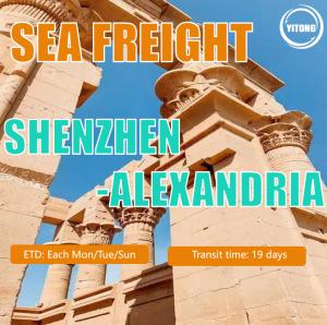 Quality Sea Freight From China to Egypt Quick Safe Service wholesale