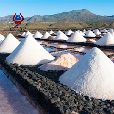 Gum Carboxymethyl Cellulose Powder 98% NA CMC For Paper Making
