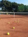 Basketball Field Liquid Soil Stabilizer For Road Construction Surface