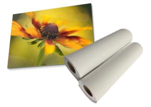 Quality Poly Cotton Canvas Roll Anti Cracking 360gsm Digital Inkjet Aqueous Printing wholesale