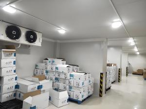 Quality Energy Saving Refrigeration Equipment Industrial Cold Room With 50-250mm wholesale